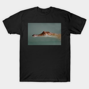 Crocodile T-Shirt